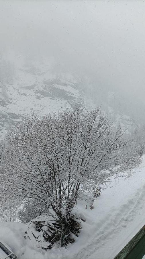 Les Hauts Du Roux Abriès Exteriör bild